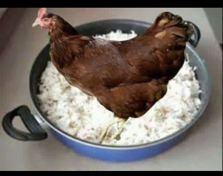 Tavuklu pirinç pilavı sever misiniz ?