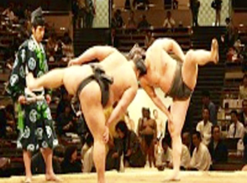 Neredeyse tüm spor türlerinde fit olmak bu kadar önemliyken, sumocular neden bu kadar yağlı?