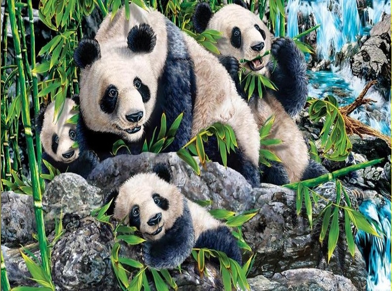 DİKKAT TESTİ: Resimde kaç PANDA görüyorsunuz ?