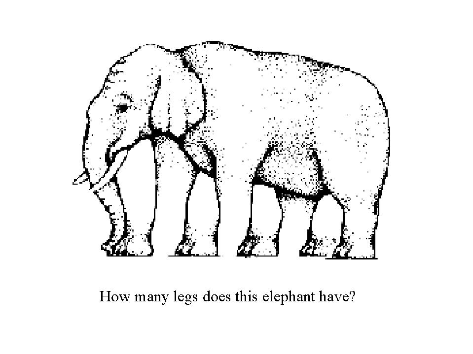 Resimdeki filin kaç ayağı var?