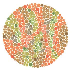 Göz Körlüğü Testi Siz Kaç Görüyorsunuz?