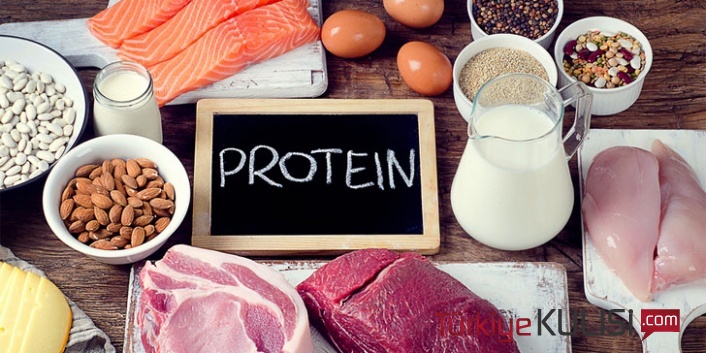 En Çok Protein Alacbileciğim Besinler Nelerdir ?