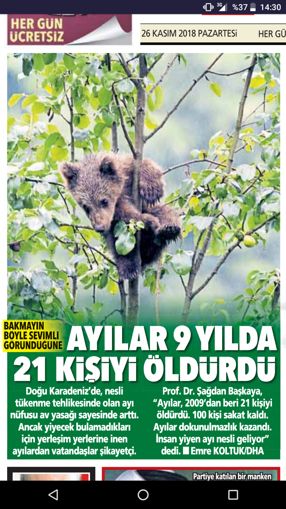 Karadeniz'de ayılar 9 yılda 21 kişiyi öldürdü?