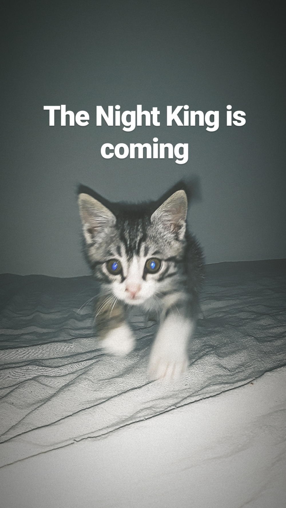 The Night King'i gören var mı?