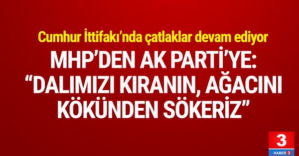 MHP'den AKP'ye dalımızı kıranın ,ağacını kökünden kırarız.
