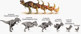 T-Rex Günümüzdeki Hangi Hayvanın Soyuna En Yakındır?
