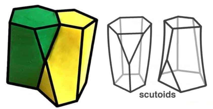 Yeni geometrik şekil 'scutoids' görsel mevcut