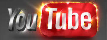 Popüler bir youtube kanalın olsa hangi kategoride olsun isterdin ?