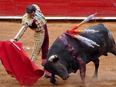 İspanya'da matadorlar tarafından boğalara kılıç saplanması şeklinde yapılan hayvan katliamı hakkında ne düşünüyorsunuz?