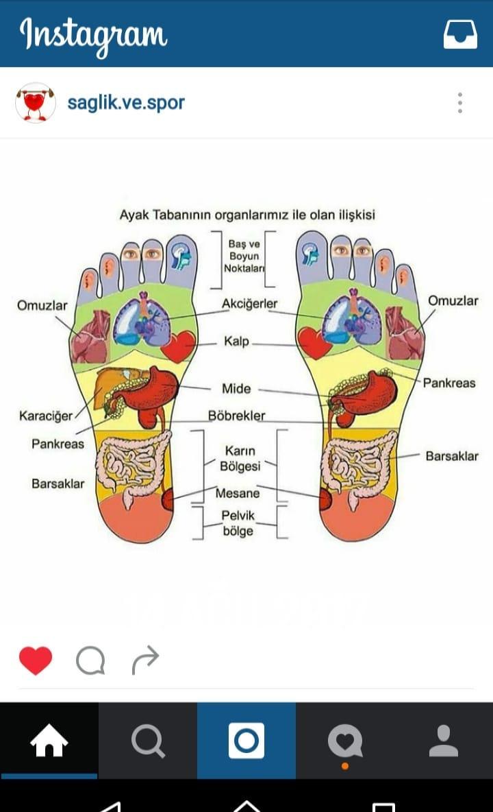 Ayak tabanı ile vücuttaki organların bağlantısını biliyor musunuz?