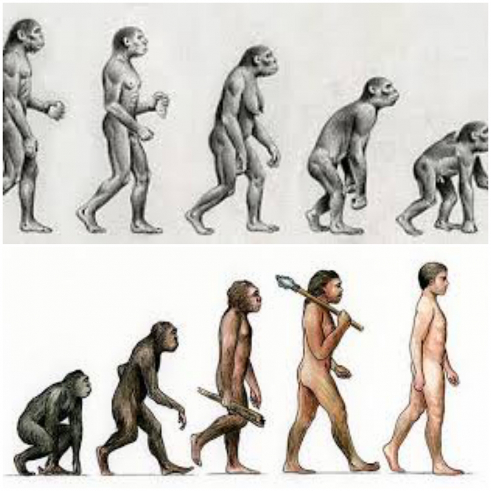 Evrim kuramları hakkında ne düşünüyorsunuz?