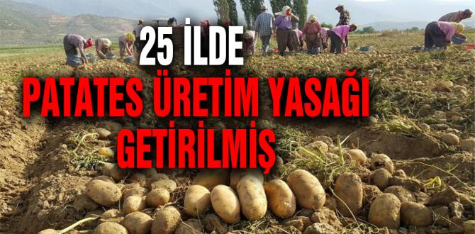 25 İlde Patates Ekimi Yasaklanmış