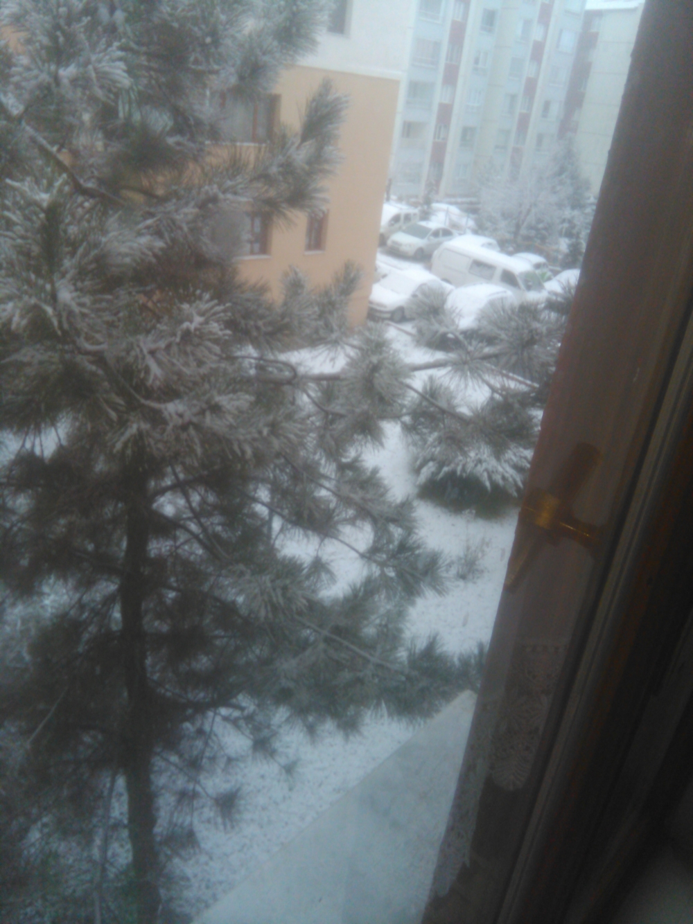 Ankara 'dan kar manzarası?