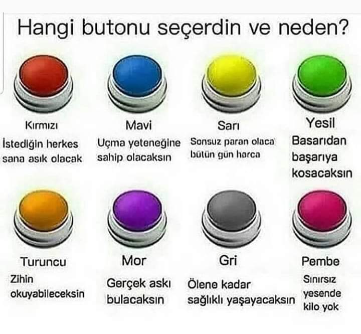 Hangi renkteki butonu seçtiğinizi sebepleri ile yazarmısınız?