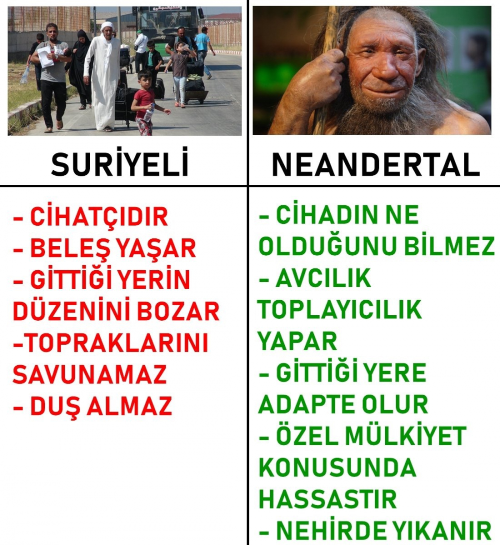 Suriyeli mi iyi? Neandertal mi? (Fotoğraf)