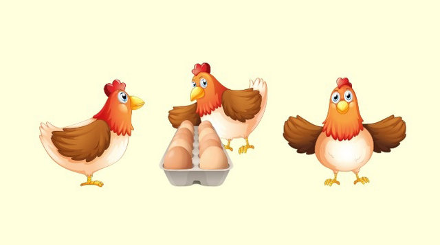 3 Tavuk 3 günde 3 yumurta yapıyor,12 tavuk 12 günde kaç yumurta üretir?