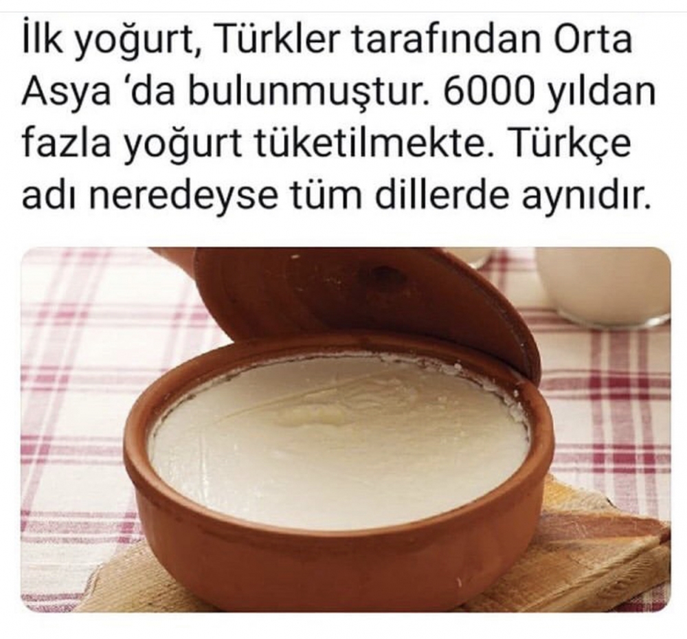 İlk yoğurdun Türkler tarafından bulunduğunu duymuş muydunuz?