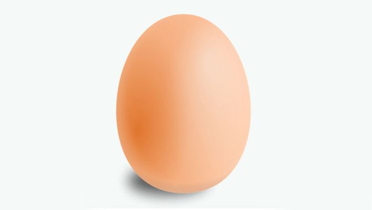 İnstagramda 50 milyon 850 binden fazla beğeni alan yumurta hakkında ne düşünüyorsunuz?