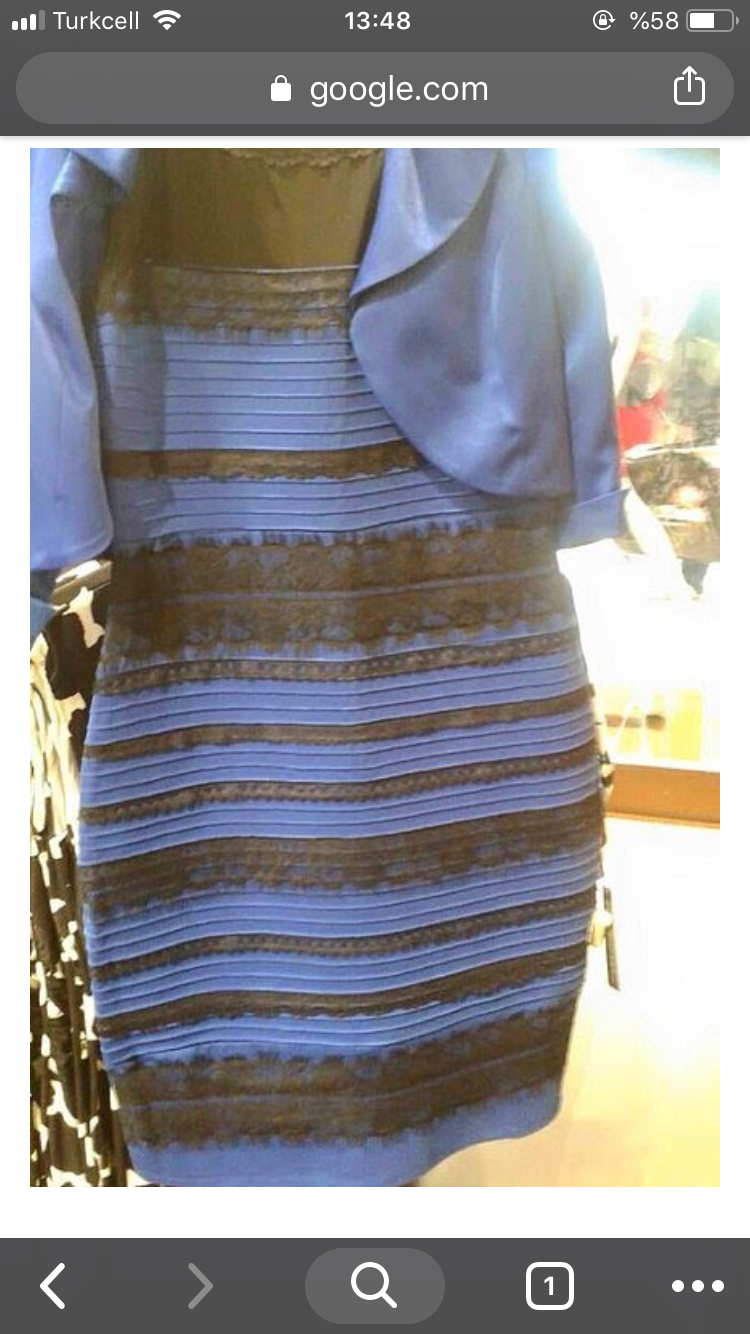 Bazıları sarı ve beyaz görürken bazıları ise siyah ve gri görüyor peki ya siz ne renk görüyorsunuz?