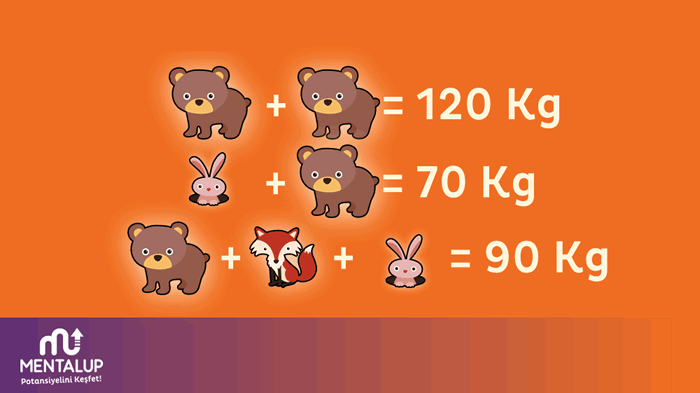 Hayvanların ağırlıkları nedir ?