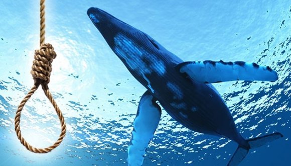 Mavi Balina ( Blue Whale ) oyununun bu kadar etkili olmasının sebebi ne olabilir?