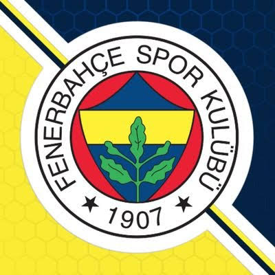Fenerbahçe’nin başarısızlığı ve ligdeki konumundan kim sorumlu ?