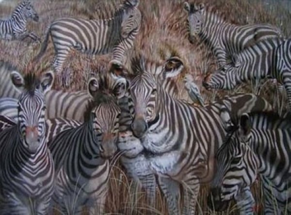 Bu fotoğrafta kaç zebra vardır?
